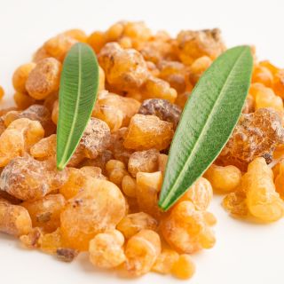 Ekstrakt z żywicy Boswellia serrata